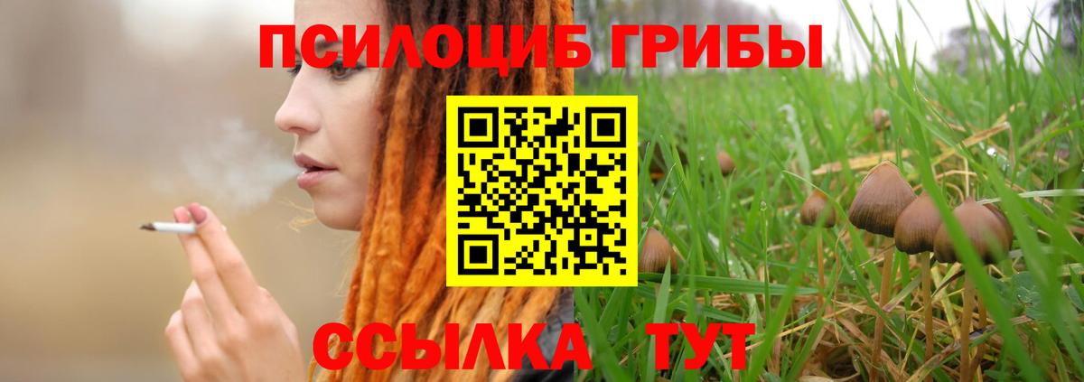Галлюциногенные грибы мухоморы  Вход с VPN  сколько стоит  Гуково 